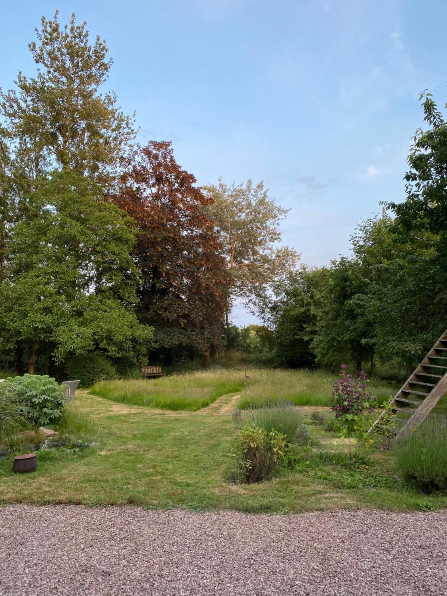 Bed and Breakfast L'Hôtié de Brocéliande Paimpont Esterno foto