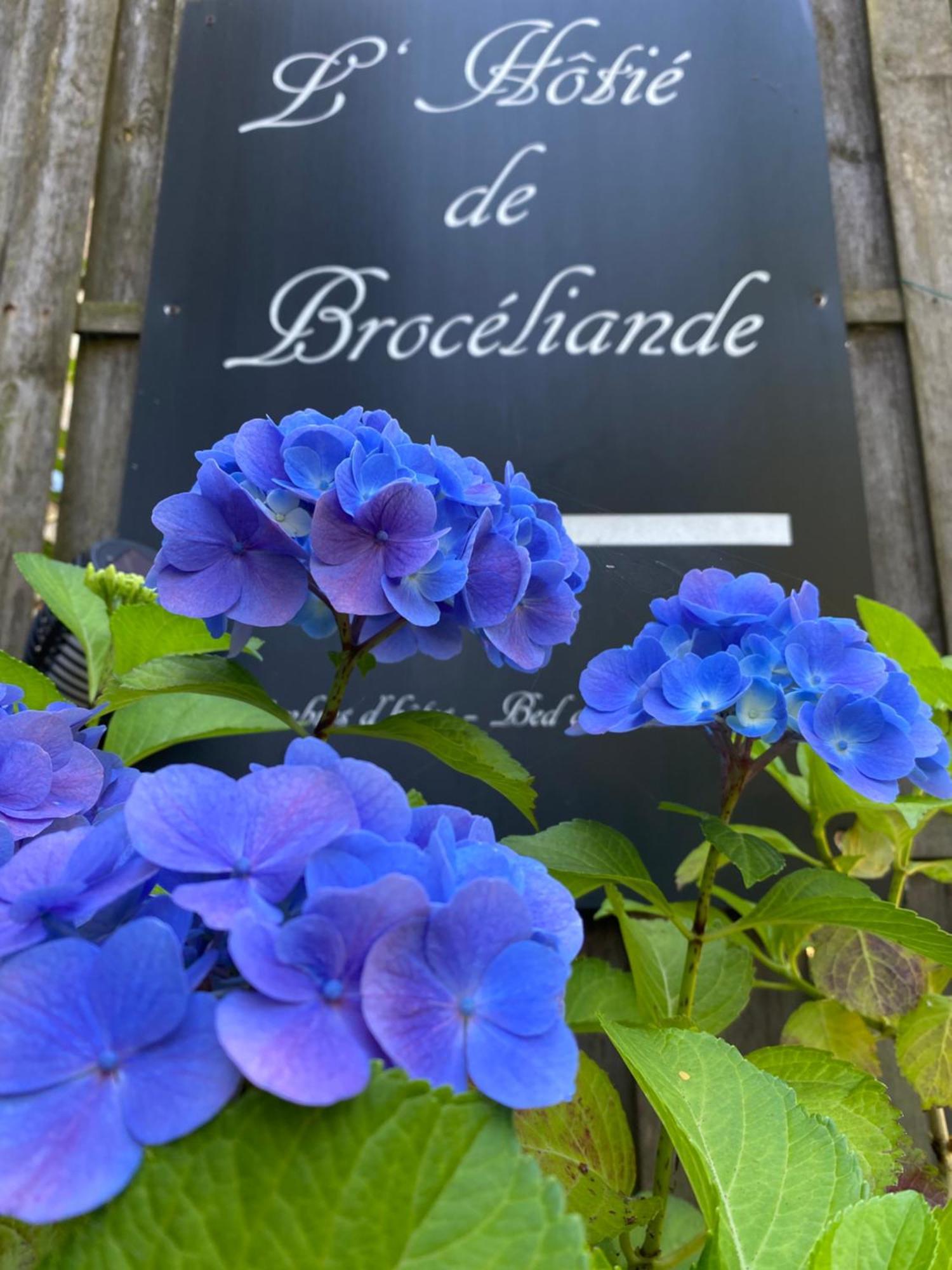 Bed and Breakfast L'Hôtié de Brocéliande Paimpont Esterno foto